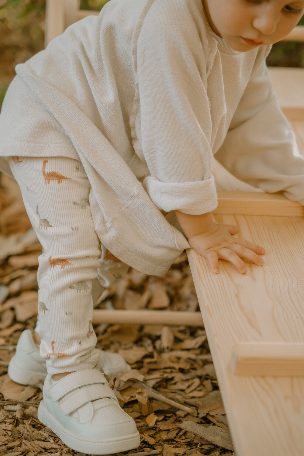Legging Dino Rib